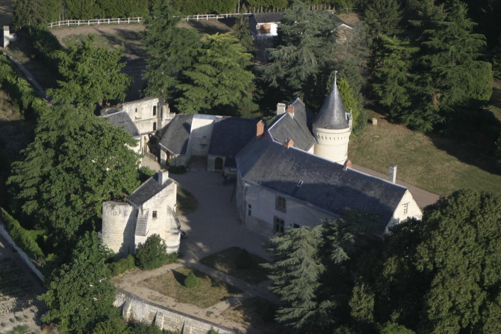 Chateau De La Roche Martel Bed and Breakfast Roiffé Exterior foto