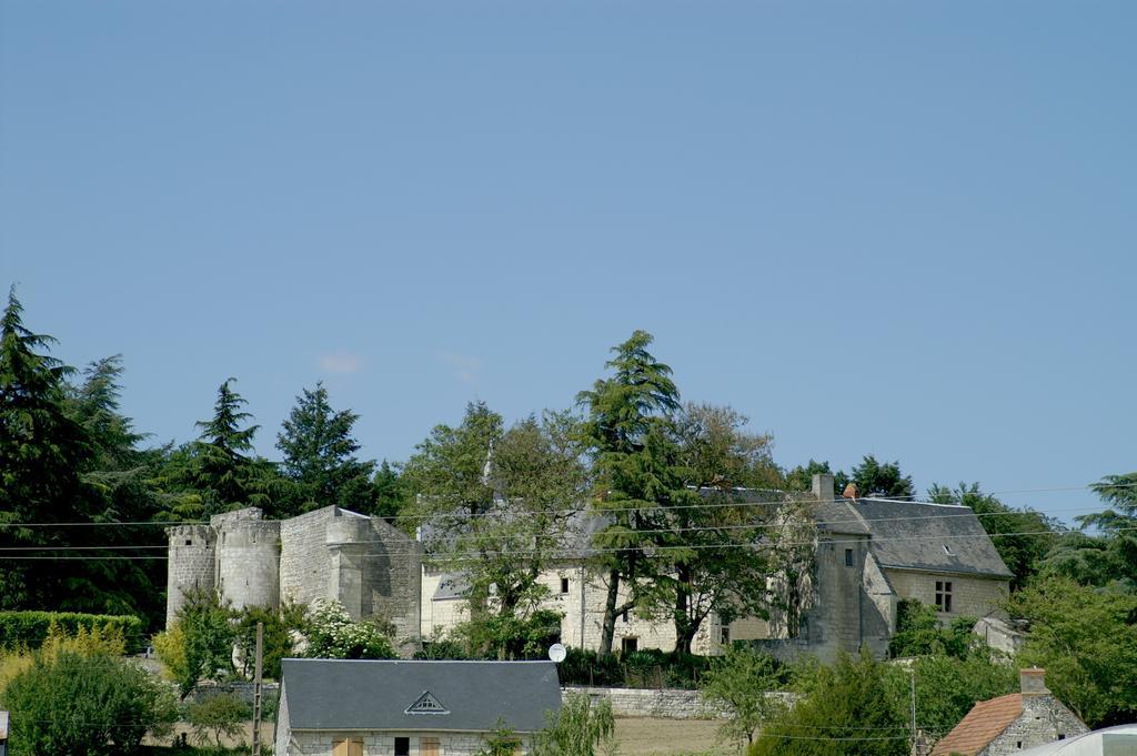 Chateau De La Roche Martel Bed and Breakfast Roiffé Exterior foto